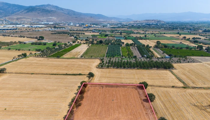 DJI_20240906133943_0066_D.jpg