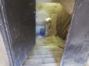 1000141174.jpg