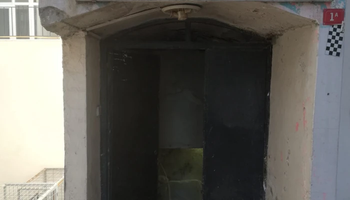 1000141192.jpg