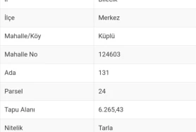 BİLECİK MERKEZDE ACİL 6 DÖNÜM PAZARLIKSIZ FIRSAT SATILIK TARLA