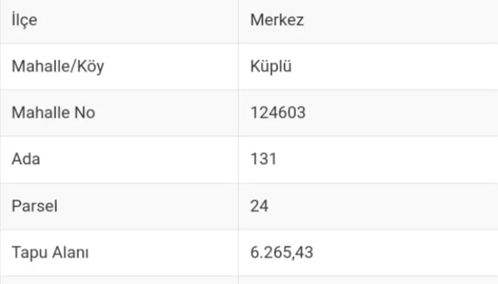 WhatsApp Görsel 2024-12-21 saat 00.52.36_1230be63.jpg