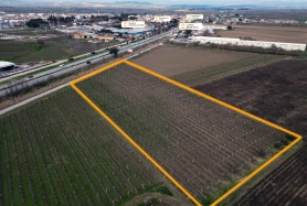 Manisa Saruhanlı Merkezde Anayola Cephe 11.987 m2 Fırsat 