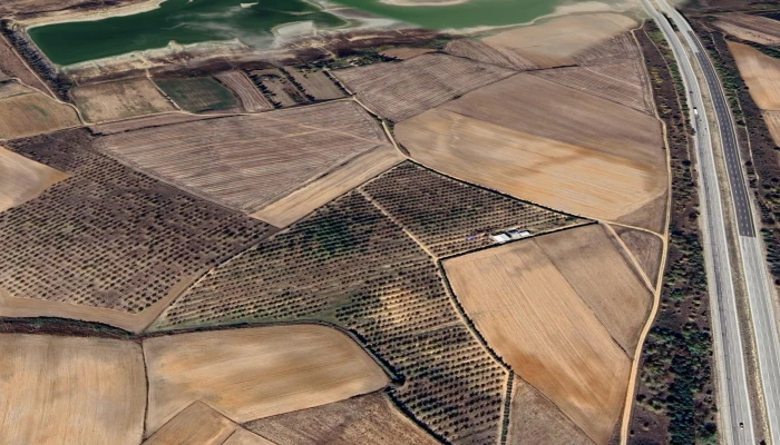Screenshot_20250310_130440_Google Earth.jpg