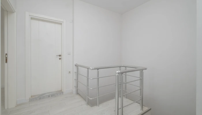 DSCF8700.jpg