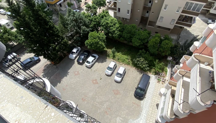 B43512D7-A4DA-41EC-8051-261F2AB90085.jpg