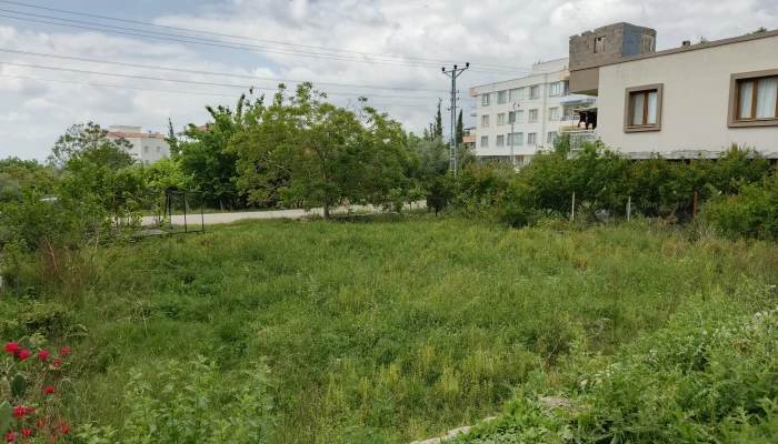 2ece8efa-f4d2-4dac-8c4b-05b21883f703.jpg