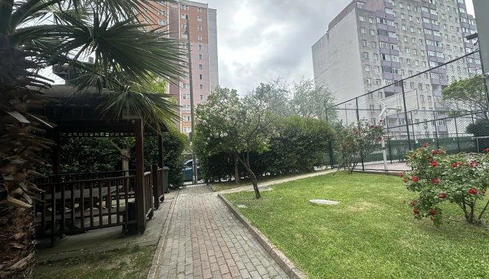 p1.jpg