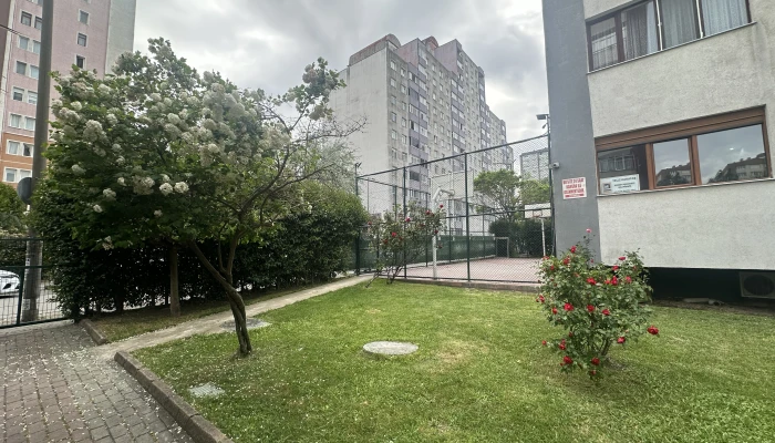 p2.jpg