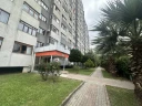 p3.jpg