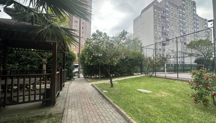p4.jpg