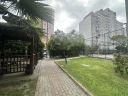 p4.jpg