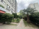 p5.jpg