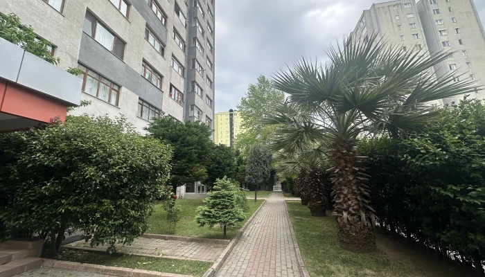 p5.jpg