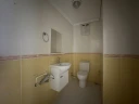 p6.jpg