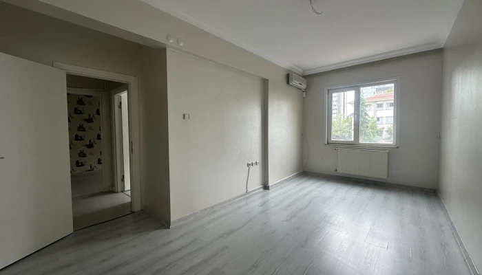 p7.jpg