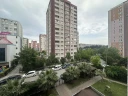 p13.jpg