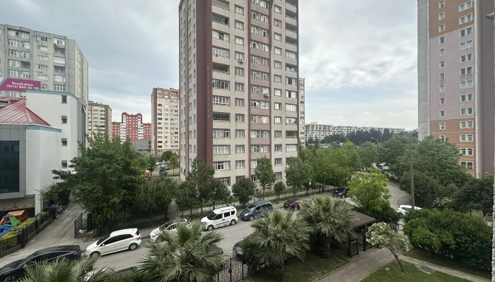 p13.jpg