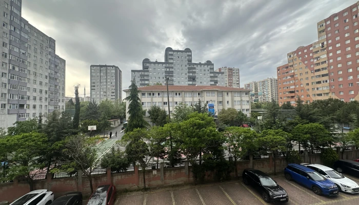 p20.jpg
