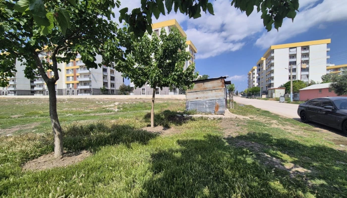 9cf22a23-bed1-46ef-9a30-69b8a14b2d31.jpg