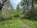 IMG_9825.jpg