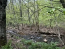 IMG_9826.jpg