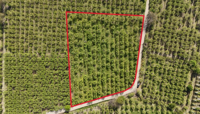 DJI_20250417100955_0154_D - Kopya.jpg