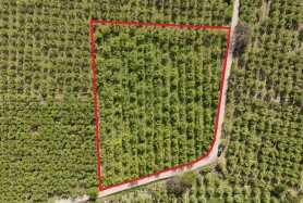 GÜRSU CANBAZLAR 6250 m² FIRSAT ARMUT BAHÇESİ