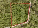 DJI_20250417100955_0154_D - Kopya.jpg