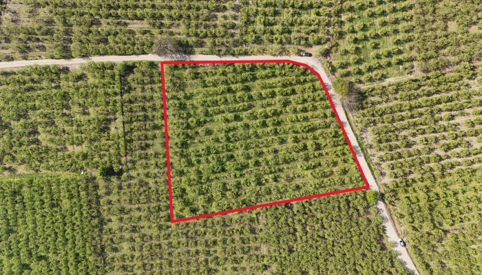 DJI_20250417101048_0155_D - Kopya.jpg