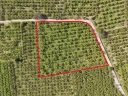 DJI_20250417101048_0155_D - Kopya.jpg
