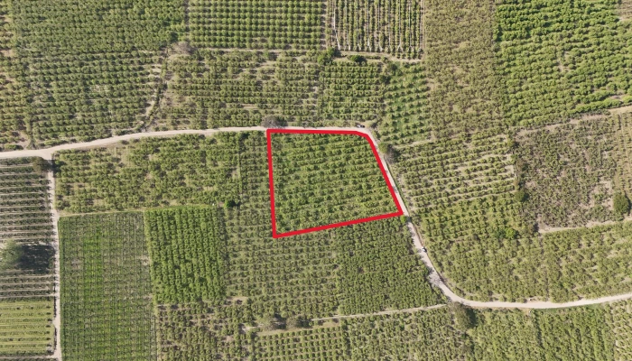 DJI_20250417101151_0156_D - Kopya.jpg