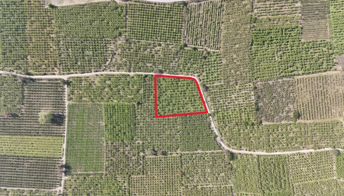 DJI_20250417101224_0157_D - Kopya.jpg