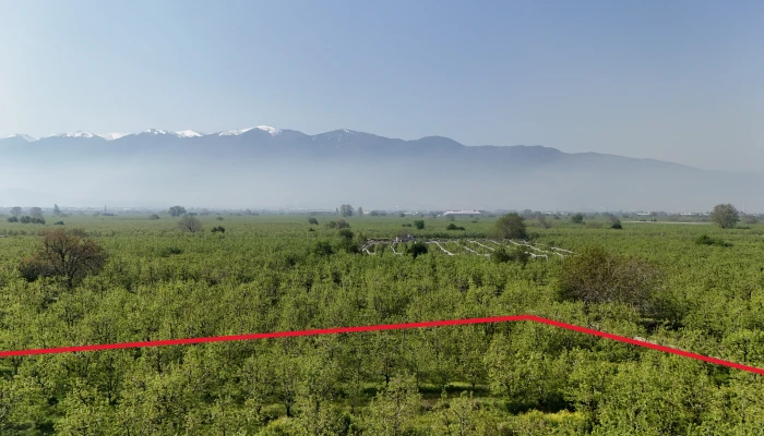 DJI_20250417101736_0160_D - Kopya.jpg