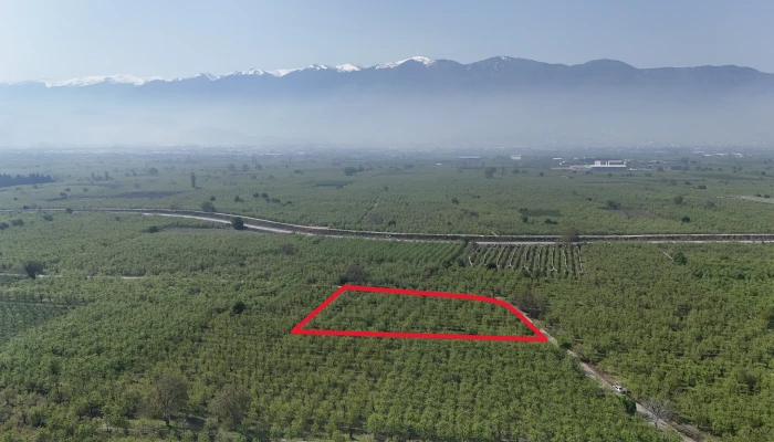 DJI_20250417101823_0161_D - Kopya.jpg