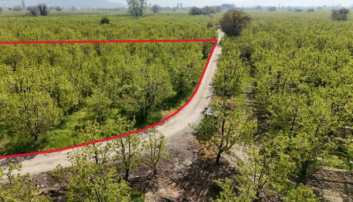 DJI_20250417103650_0170_D - Kopya.jpg