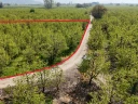 DJI_20250417103650_0170_D - Kopya.jpg