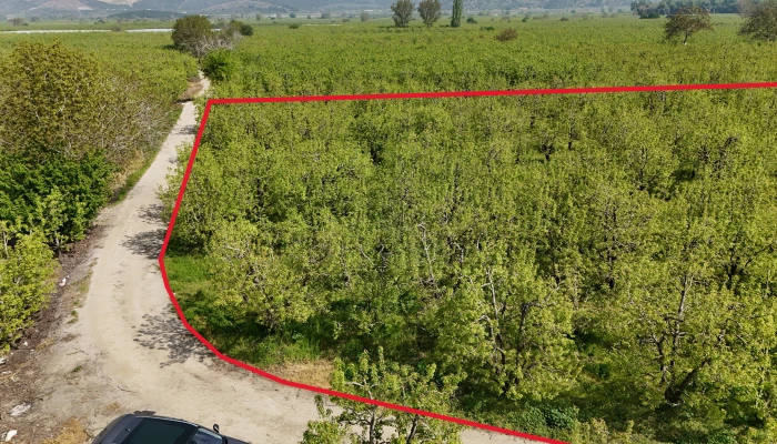 DJI_20250417103714_0171_D - Kopya.jpg
