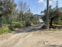 IMG_7759.jpg