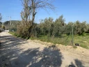 IMG_7757.jpg