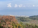 IMG_7673.jpg