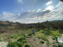 IMG_7394.jpg