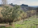 IMG_7390.jpg