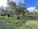 IMG_7389.jpg