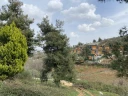 IMG_7891.jpg
