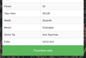 FIRSAT! ÇEPNİ'DE YOLA YAKIN 903 METRE DÜZ ZEYTİNLİK