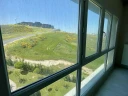 IMG_0582.jpg