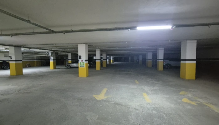 1000529918.jpg