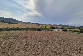 EKİNOX AKTİF TEN KARAİSALI KUZGUN DA SATILIK TARLA