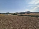 1000538747.jpg