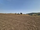 1000538754.jpg